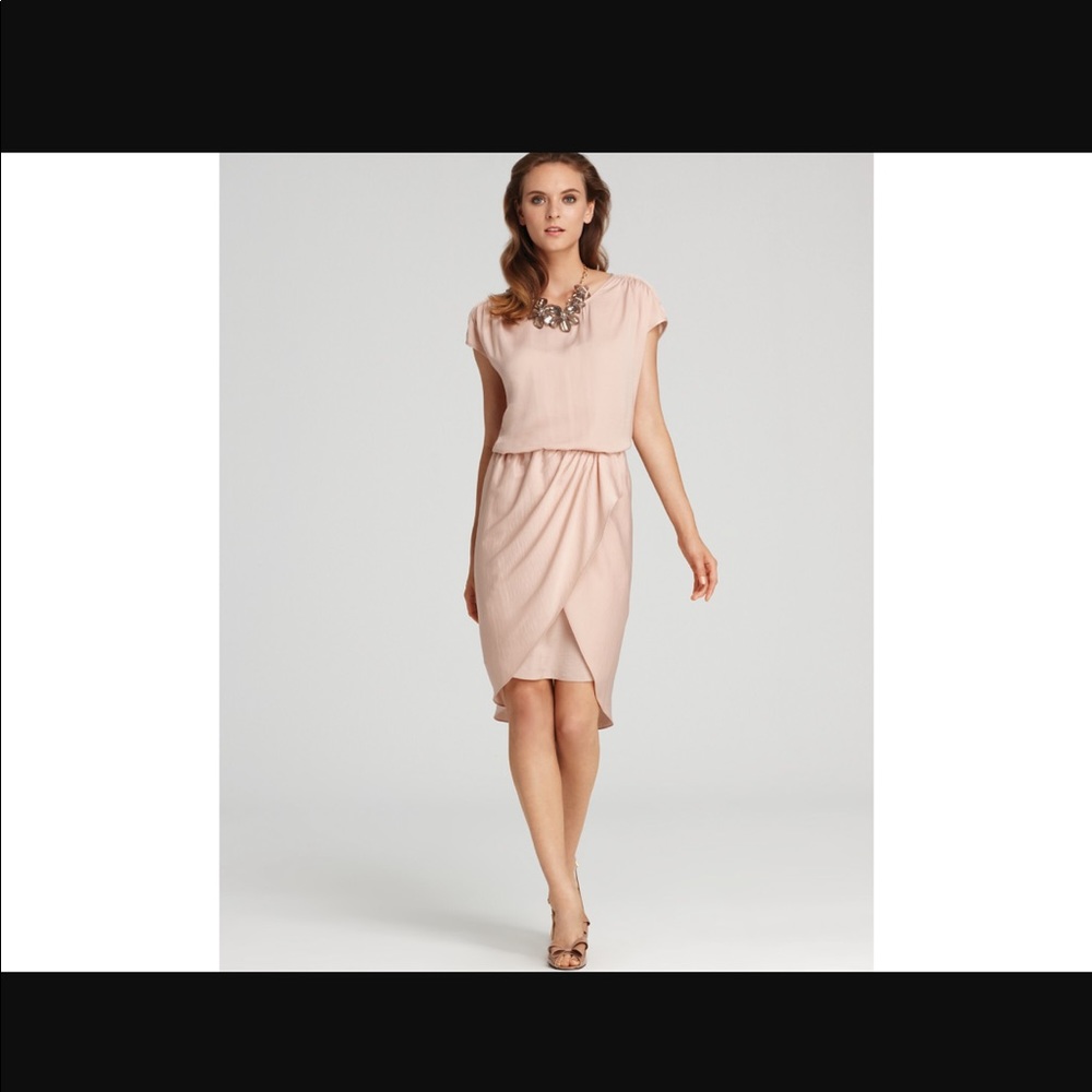 BCBG Max Azria Arora Dress