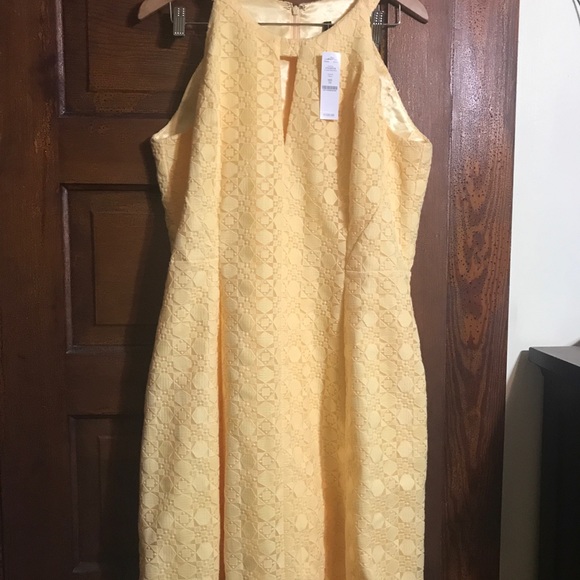 White House Black Market Dresses Yellow Dress Poshmark