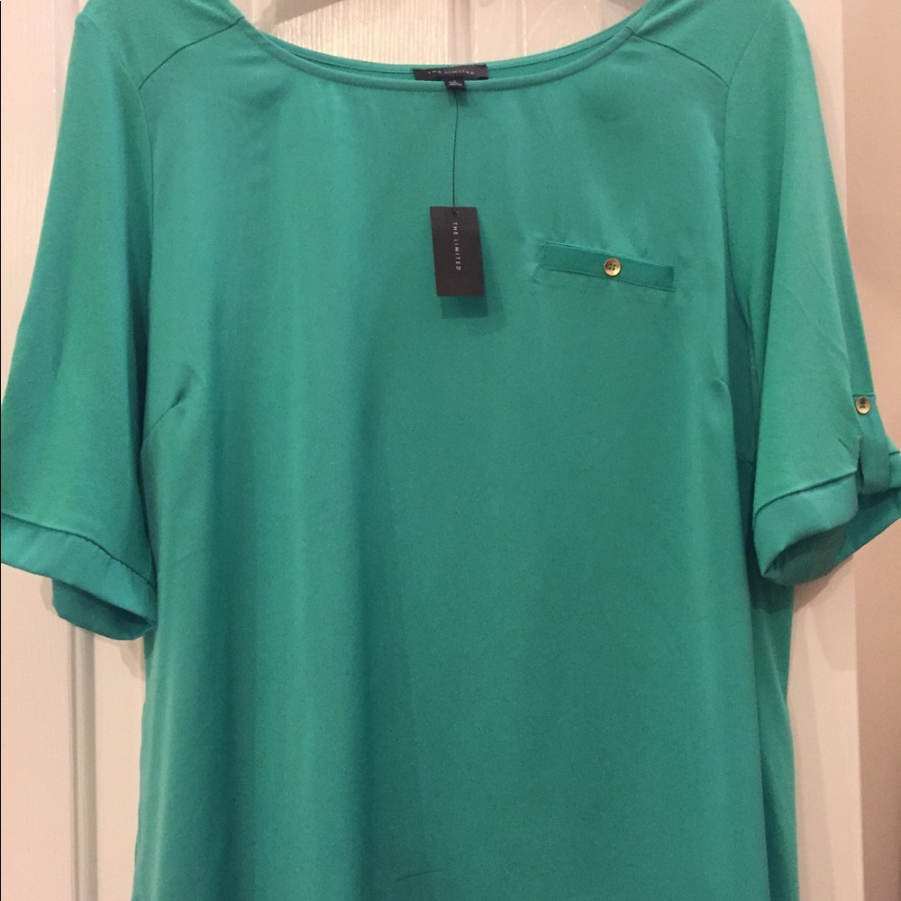 NWT The Limited Beautiful Green Mix Material Top.