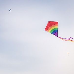 Meet your Posher, Anu