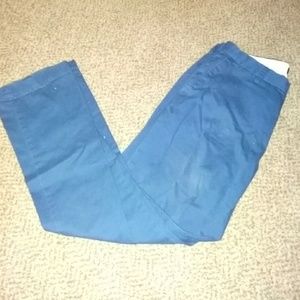 Blue Banana Republic Pants