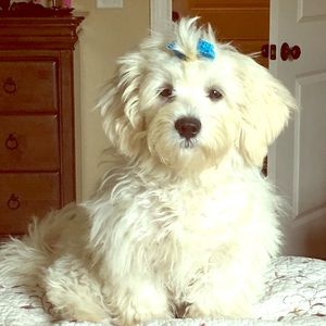 Meet Your Posher ~ Starla Leigh