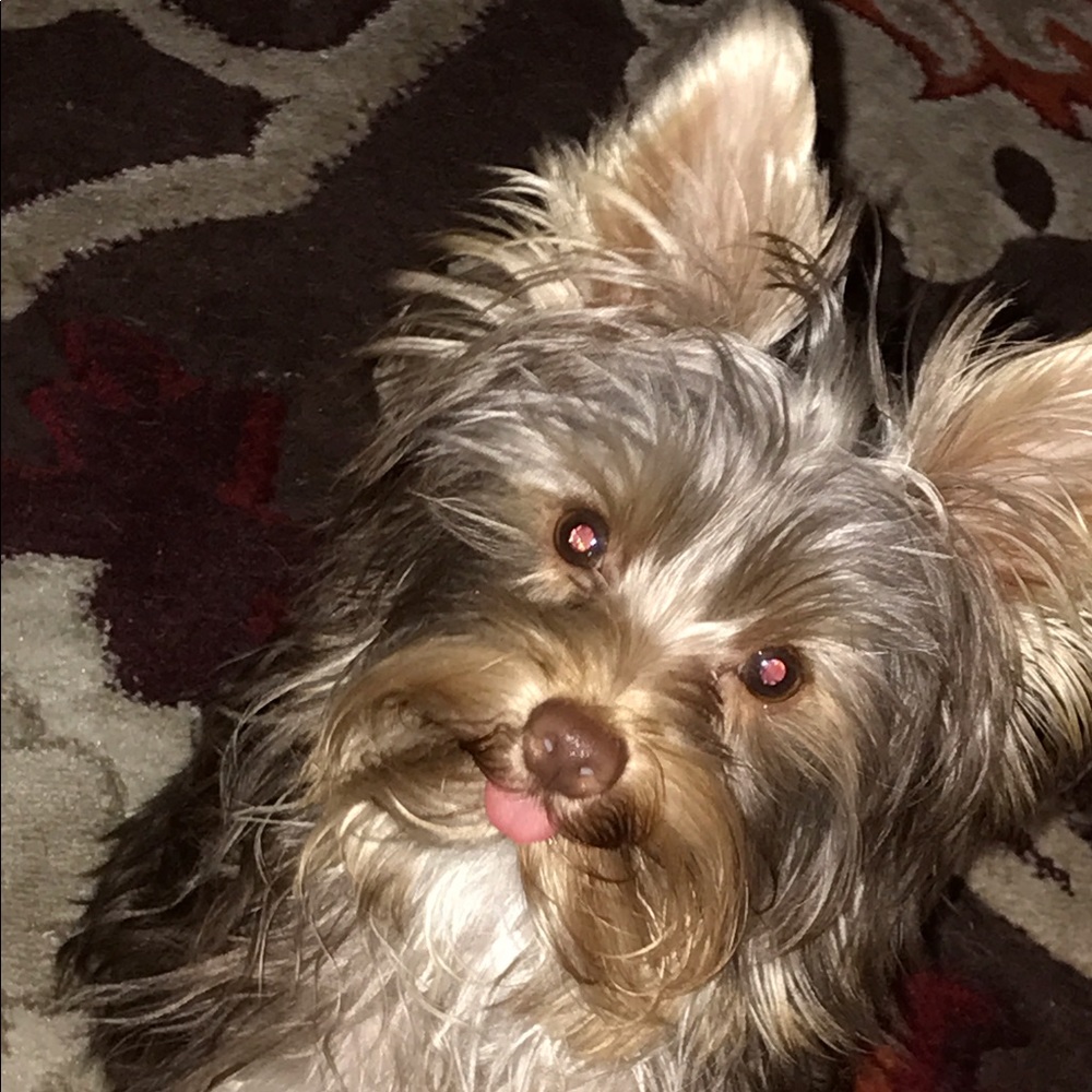 Meet your Posher, Corey