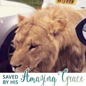 Meet your Posher, Frank