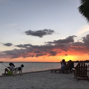 Meet your Posher, Anne