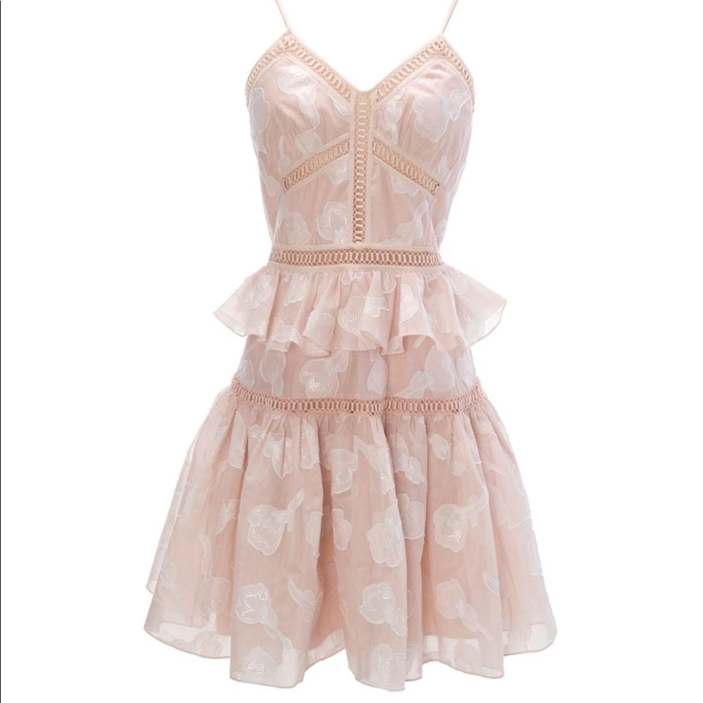 NWT Rebecca Taylor dress