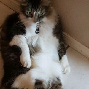 Meet your Posher, Cindy