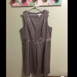 NWT Ann Taylor Loft Champagne Dot Dress