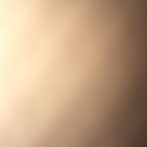 Meet your Posher, Arebia