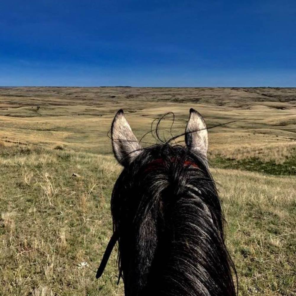 Meet your Posher, Jacob