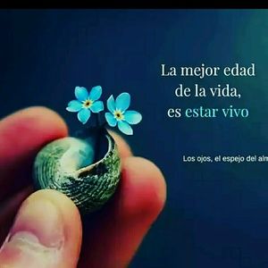 Meet your Posher, Patricia