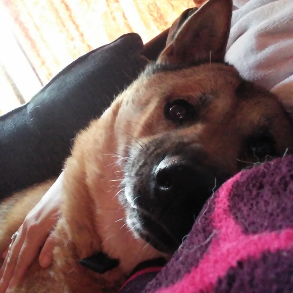 Meet your Posher, Vee - Picture 1 of 4