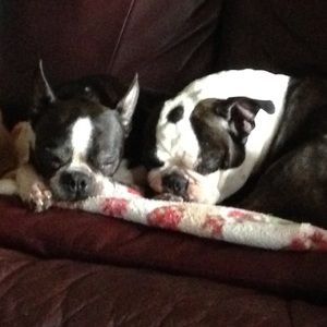 Meet your Posher, Marvin