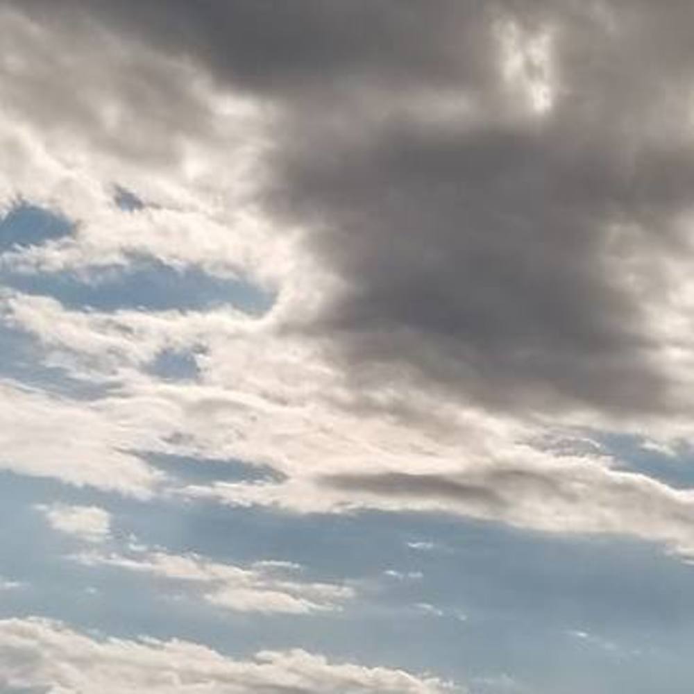 Meet your Posher, Nina