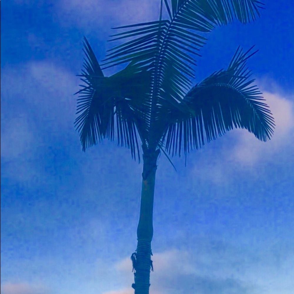 Meet your Posher, Lola