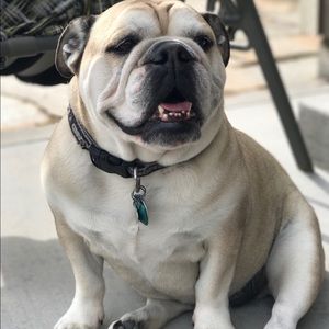 Meet your Posher, Kelly