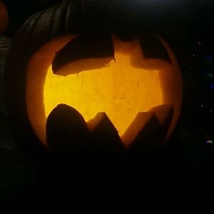 Meet your Posher, Oscar