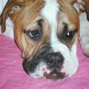 Meet your Posher, Kiefer