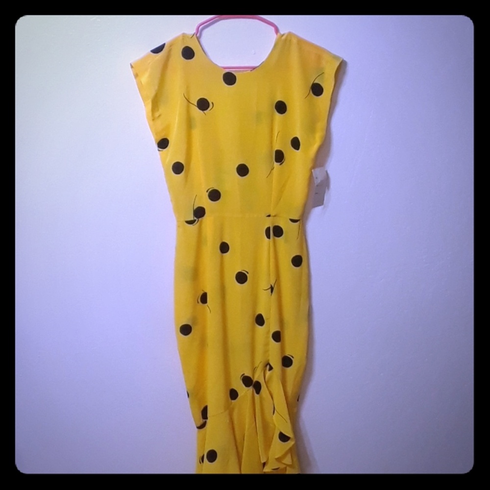 Polka dot vintage dress
