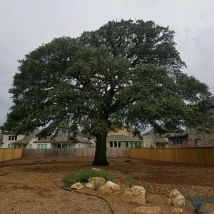 Meet your Posher, Carlos