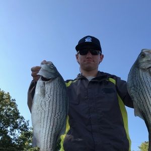 Meet your Posher, Bobby