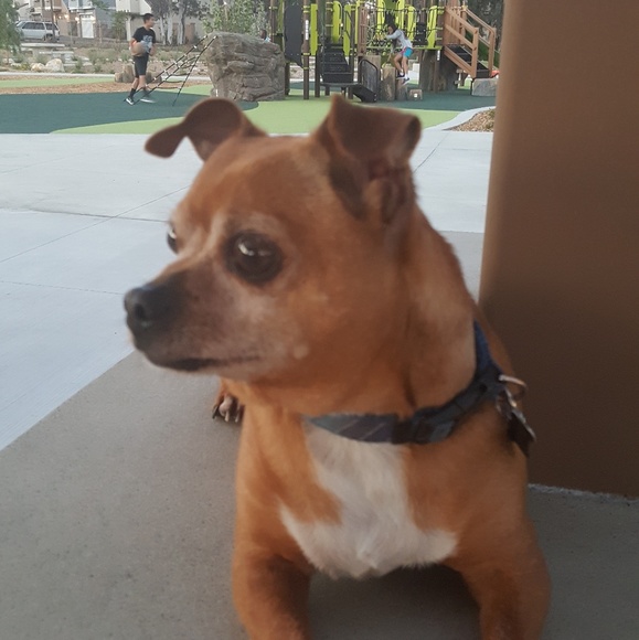 Meet your Posher, Elisangela - Picture 6 of 8