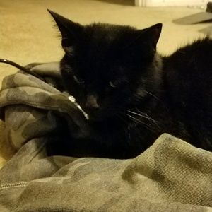 Meet your Posher, Nick