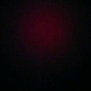 Meet your Posher, Roger