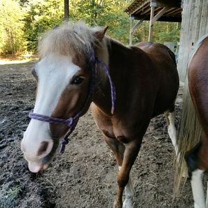 Meet your Posher, Theresa