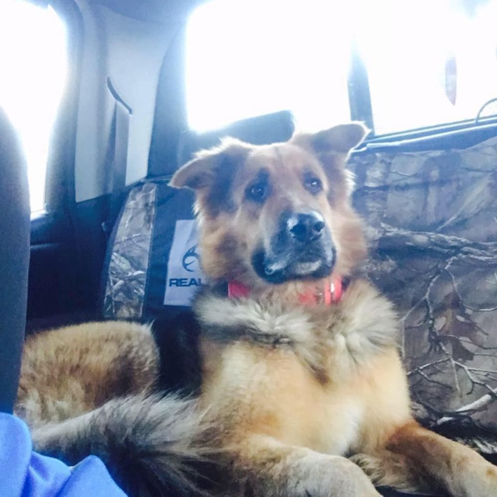 Meet your Posher, Travis