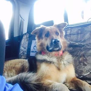 Meet your Posher, Travis