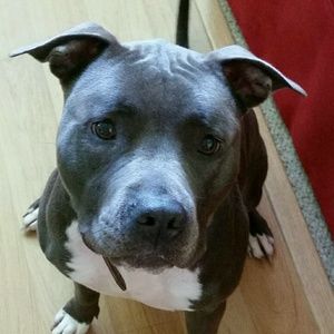 Meet your Posher, Rachael