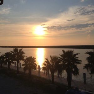 Meet your Posher, Tracie