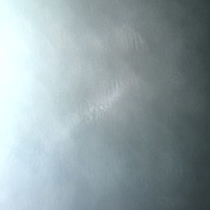 Meet your Posher, Albert