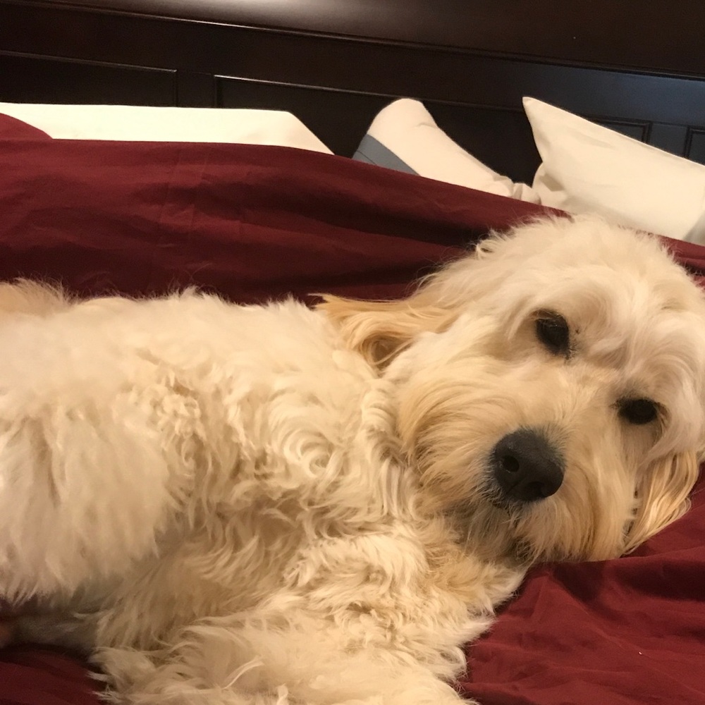 Meet your Posher, Asa