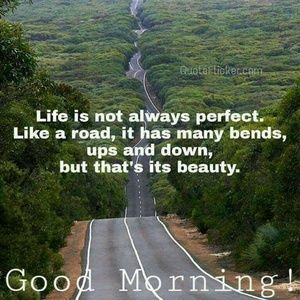 Meet your Posher, Lynn