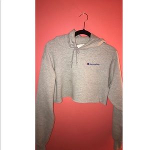 Cropped Champion Sweatshirt Sz Small Heather Gray