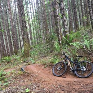 Meet your Posher, Kristopher