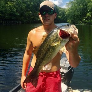 Meet your Posher, Cody