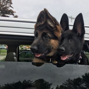 Meet your Posher, Jon