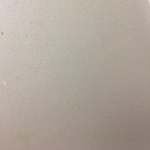 Meet your Posher, Will