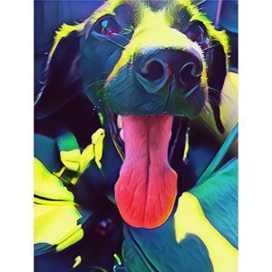 Meet your Posher, Ada