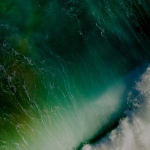 Meet your Posher, Steven