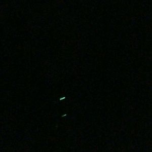 Meet your Posher, Tabitha