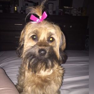 Meet your Posher, Layla