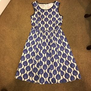 Cute Kate Spade dress