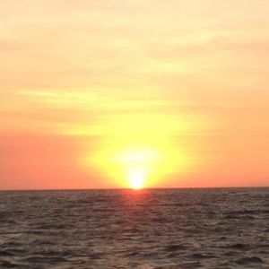 Meet your Posher, Dee