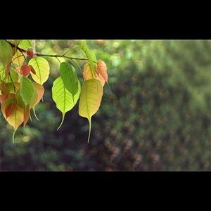 Meet your Posher, Bhagya