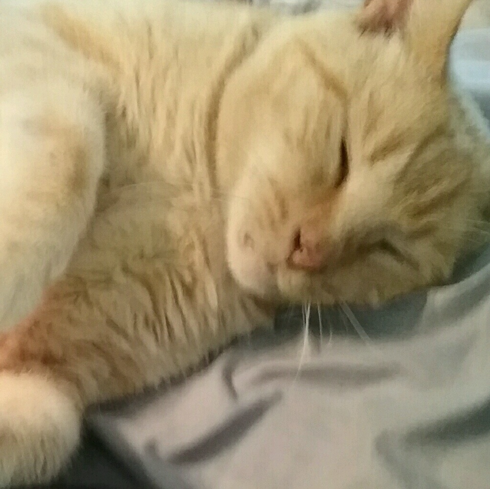 Meet your Posher, Stina