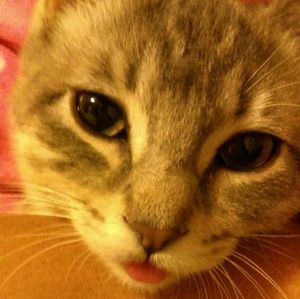 Meet your Posher, Mirtha